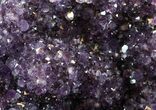 Dark Purple Amethyst Cluster On Wood Base #50171-2